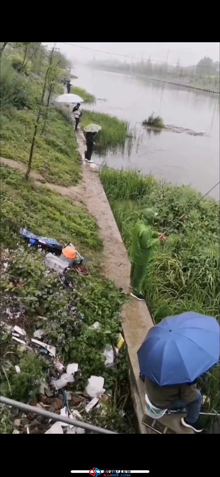 靖江哪儿有这种适合钓鱼的河道